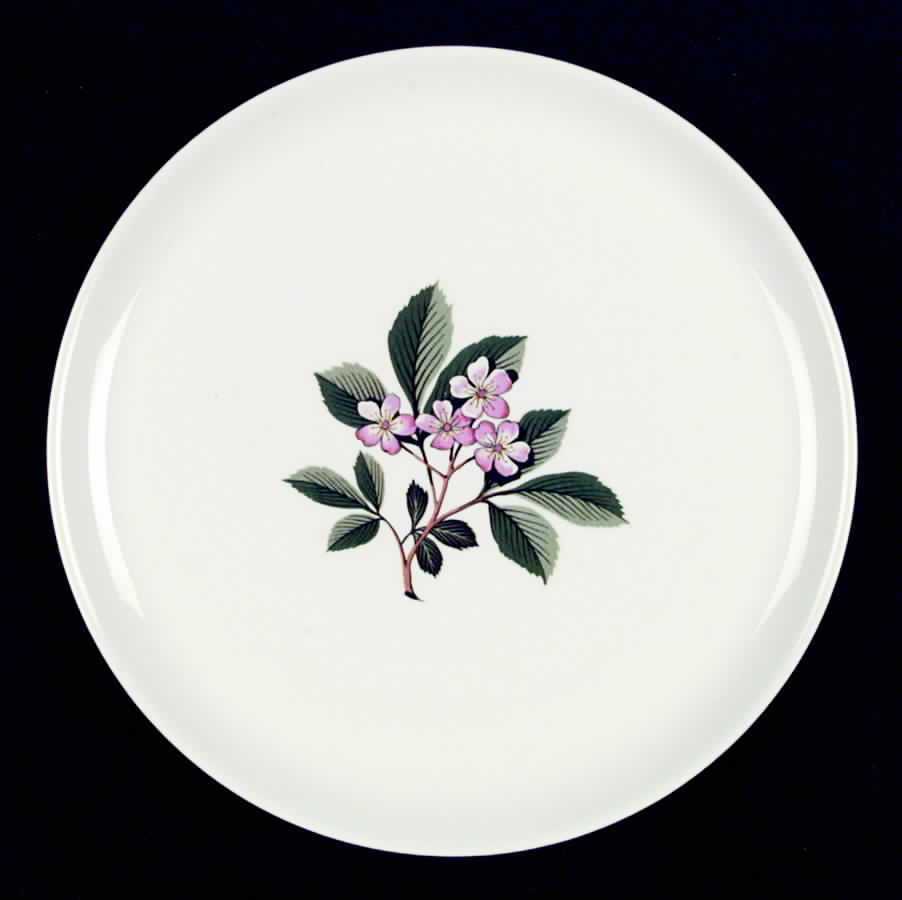 FSX22 Dinner Plate by French Saxon-1