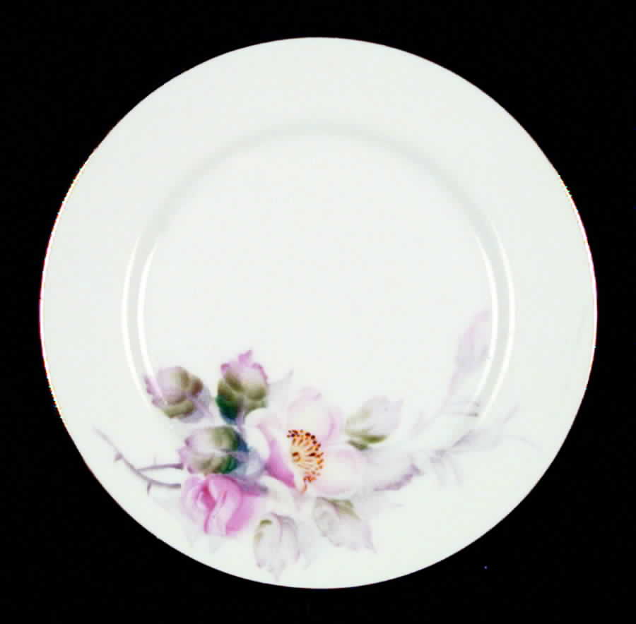 Wild Rose (Occupied Japan) Salad Plate by Fuji-1