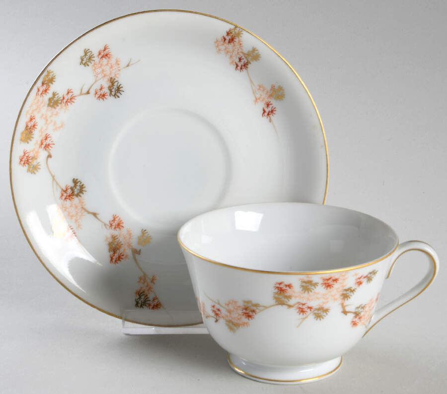 Maple (Rim) Footed Cup & Saucer Set by Fukagawa-1