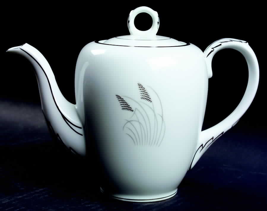 Moon Glow (Black Plant) Coffee Pot & Lid by Fukagawa-1