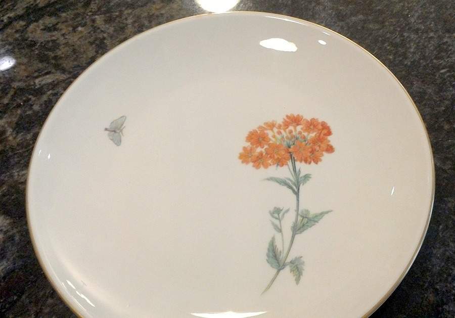 FUR12 Dinner Plate by Furstenberg-1