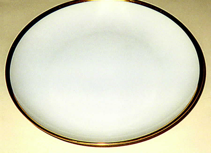 0657 Dinner Plate by Furstenberg-1