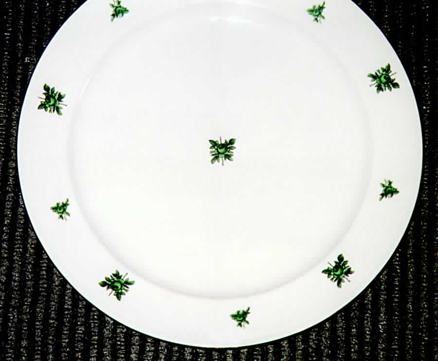 02225 Dinner Plate by Furstenberg-1