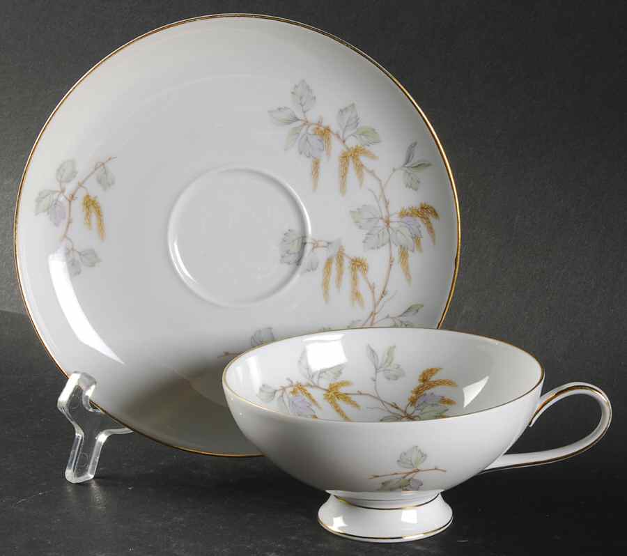 Birch Blossoms (Gold Trim) Footed Cup & Saucer Set by Franconia-Krautheim & Adelburg-1