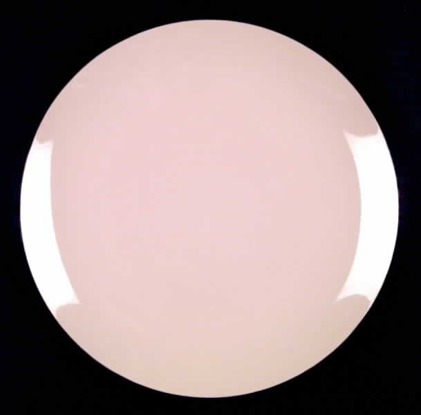 Magnolia (No Trim) Dinner Plate by Franciscan-1