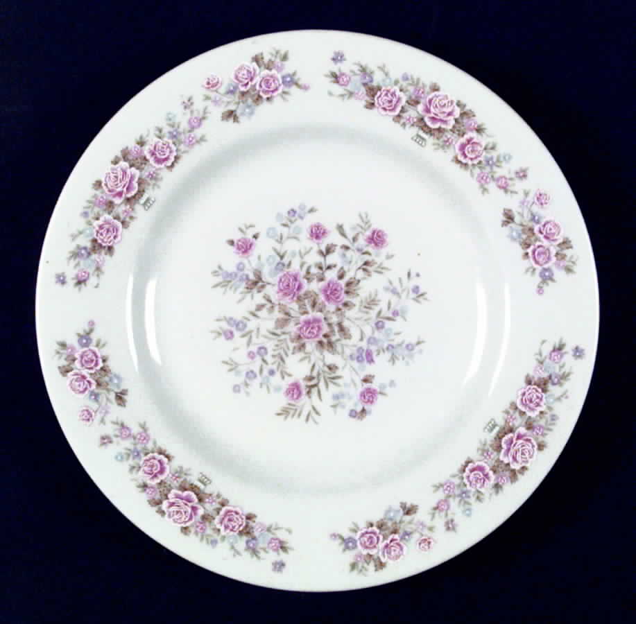 FCC120 Dinner Plate by Fine China of China-1