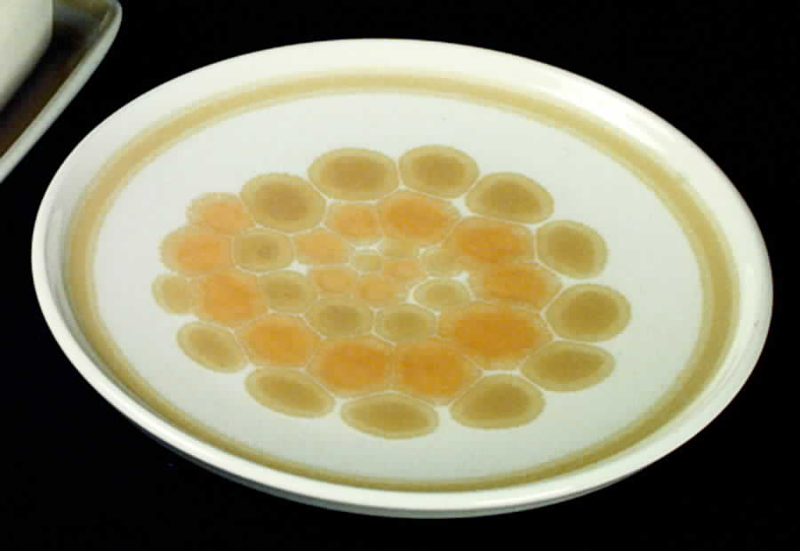 Sundance (England) Bread & Butter Plate by Franciscan-1