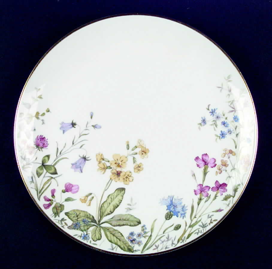 5809 Dinner Plate by Franconia-Krautheim & Adelburg-1