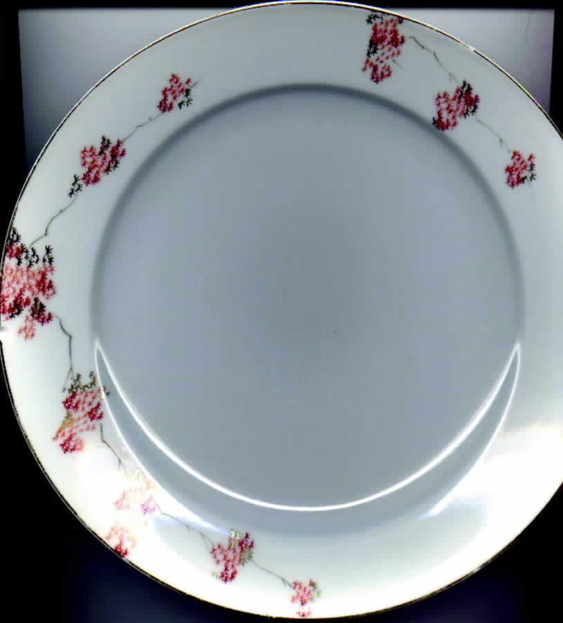FUK24 Dinner Plate by Fukagawa-1