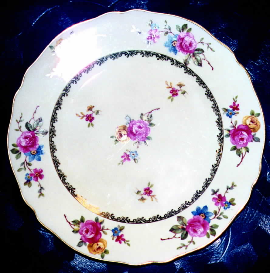 FR125 Dinner Plate by Franconia-Krautheim & Adelburg-1