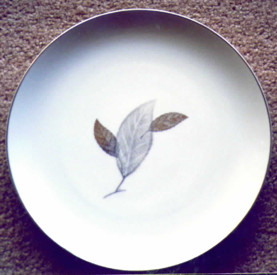 727 Salad Plate by Fukagawa-1