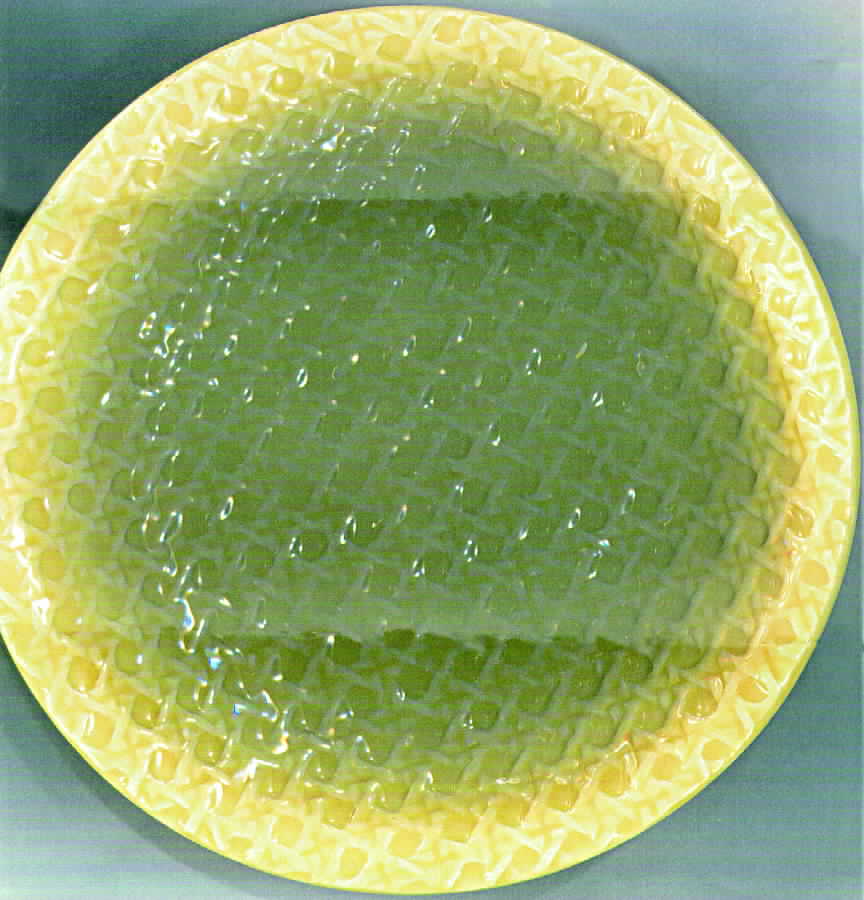 F1P2 Salad Plate by Faience d'Art Proceram-1