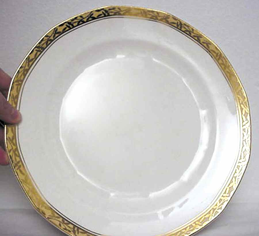 FC18 Dinner Plate by FC Co - French China-1