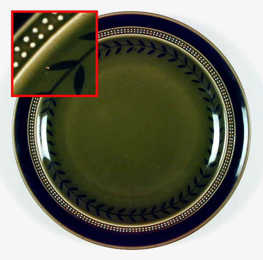 Cordova Dinner Plate by Fuji-1