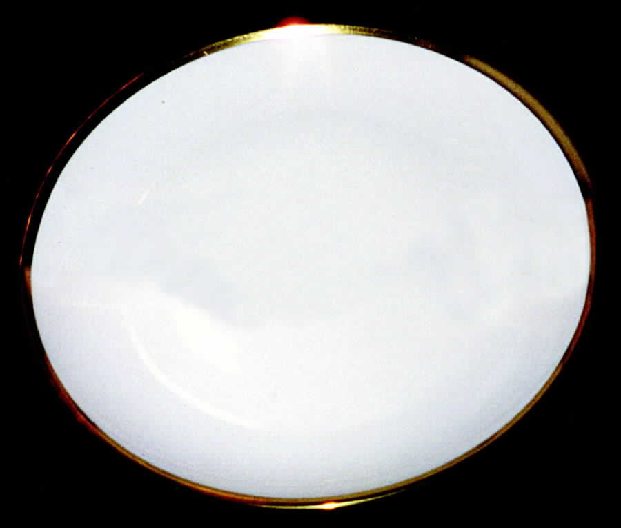01650 Dinner Plate by Furstenberg-1