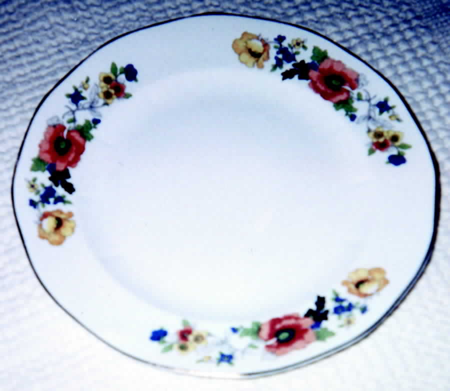Fc 21 Dinner Plate by FC Co - French China-1