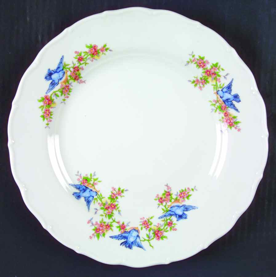 Bluebird (Matthew 6:26) Dinner Plate by Furnari's-1