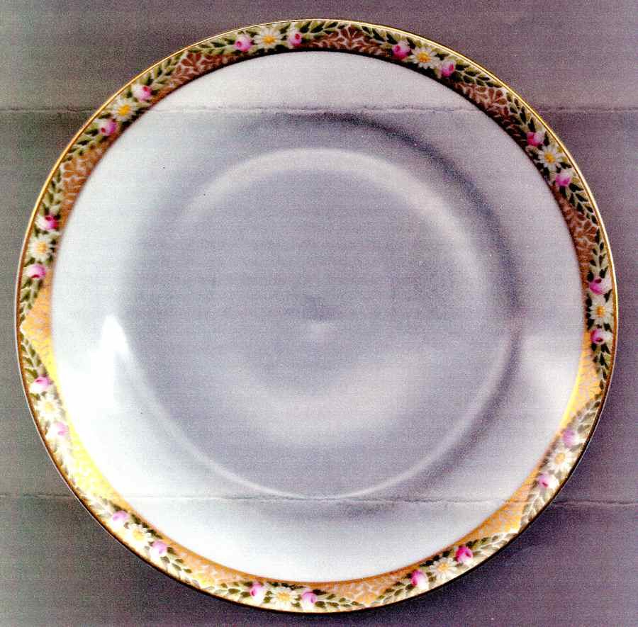 6260 Dinner Plate by Franconia-Krautheim & Adelburg-1