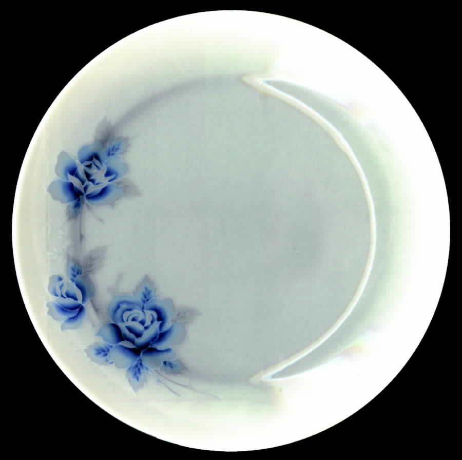 FAA2 Salad Plate by Fashion Ware-1