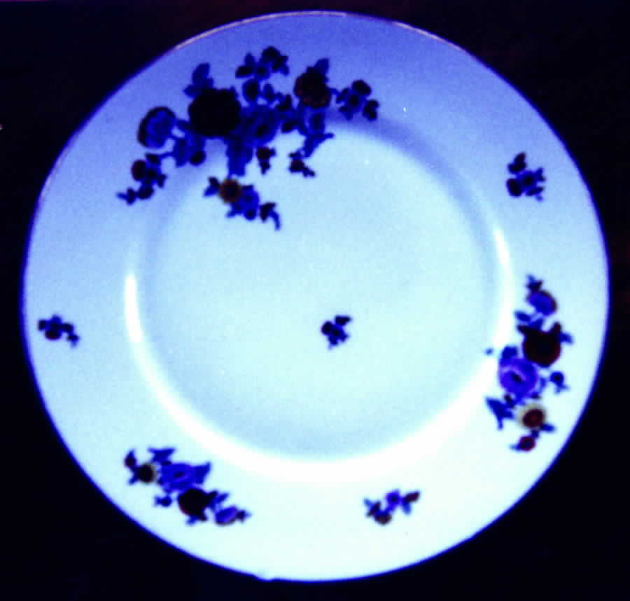 S584 Dinner Plate by Franconia-Krautheim & Adelburg-1