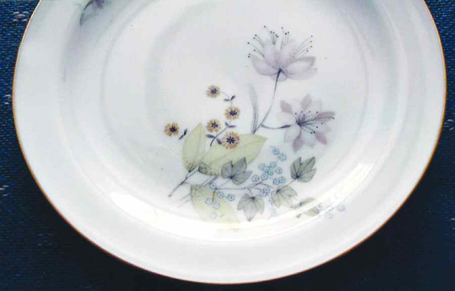 FR220 Dinner Plate by Franconia-Krautheim & Adelburg-1