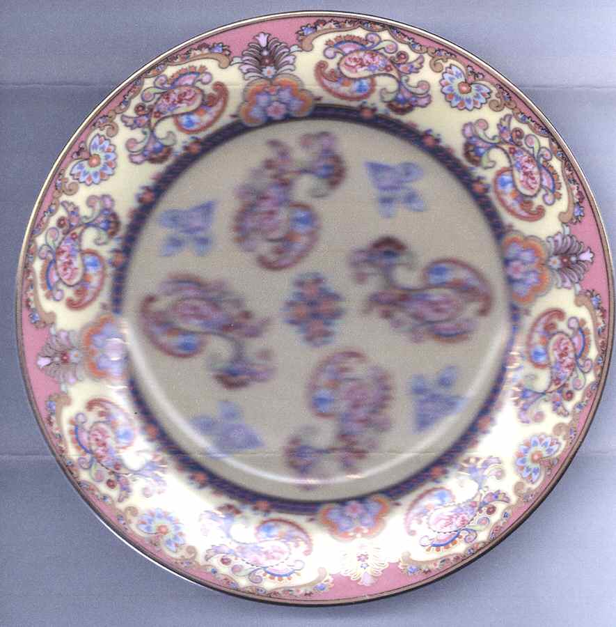 Serendipity Salad Plate by Fiori Design Group-1