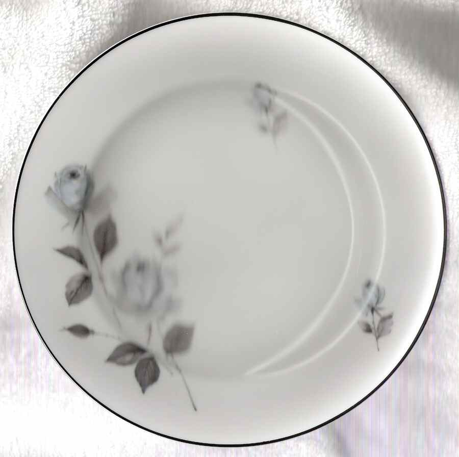 Somerset Dinner Plate by Franconia-Krautheim & Adelburg-1