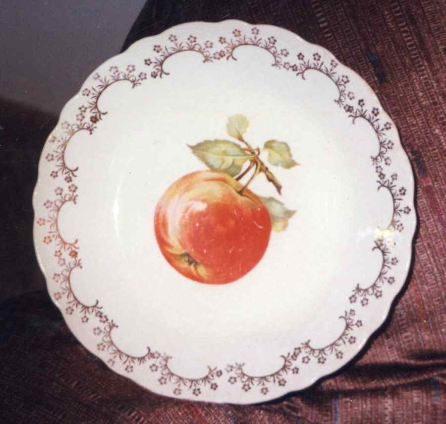 FC53 Dinner Plate by FC Co - French China-1