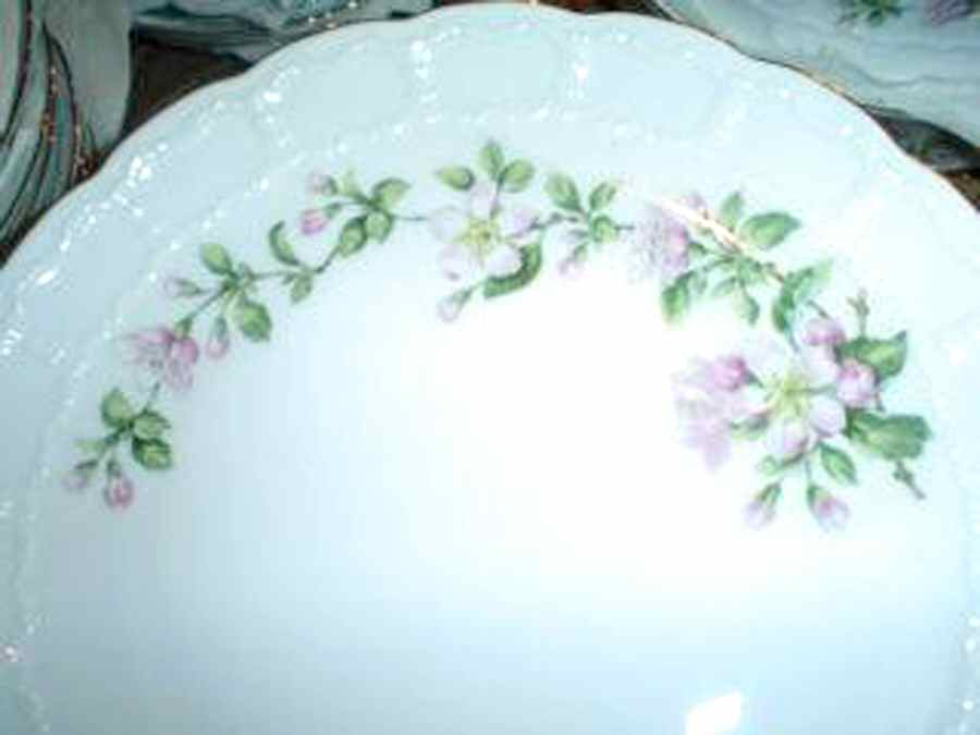 FR267 Dinner Plate by Franconia-Krautheim & Adelburg-1