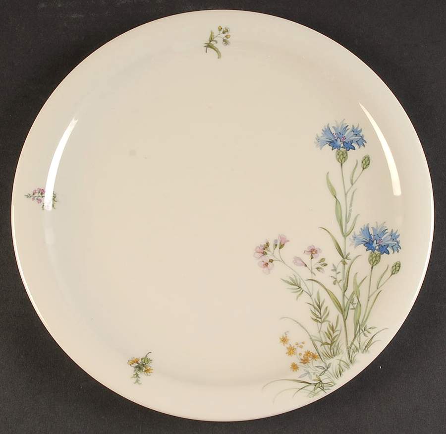 FR268 Dinner Plate by Franconia-Krautheim & Adelburg-1