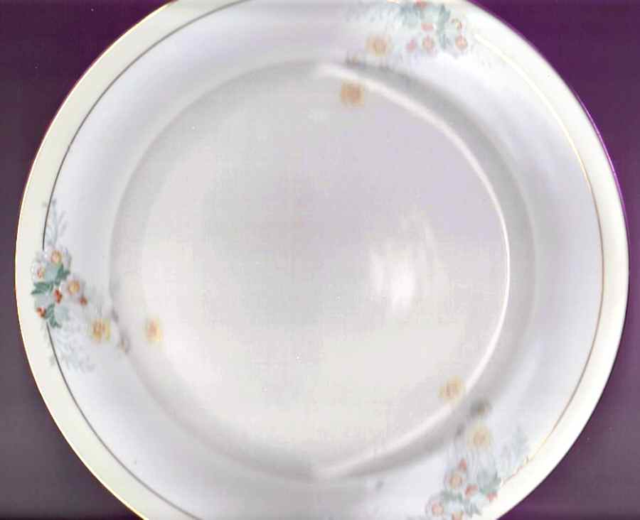 Studio Dinner Plate by Franconia-Krautheim & Adelburg-1