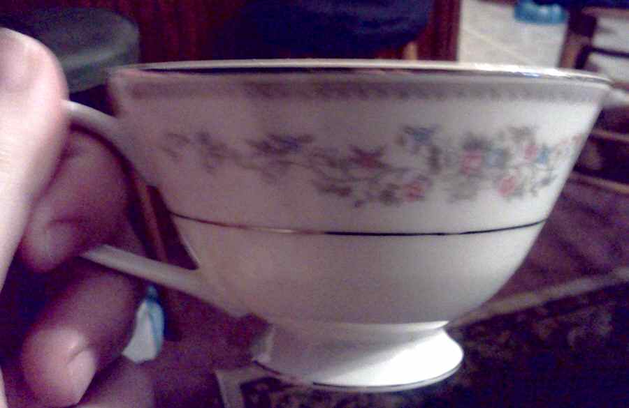 Rose Briar Footed Cup by Fine China of Japan-1