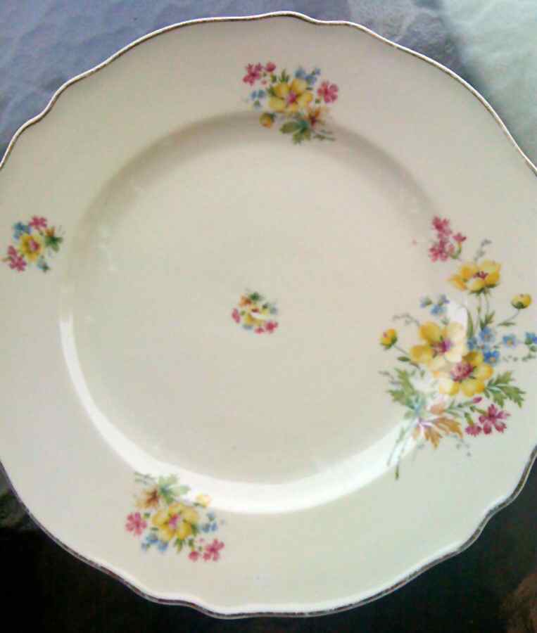 FR300 Dinner Plate by Franconia-Krautheim & Adelburg-1