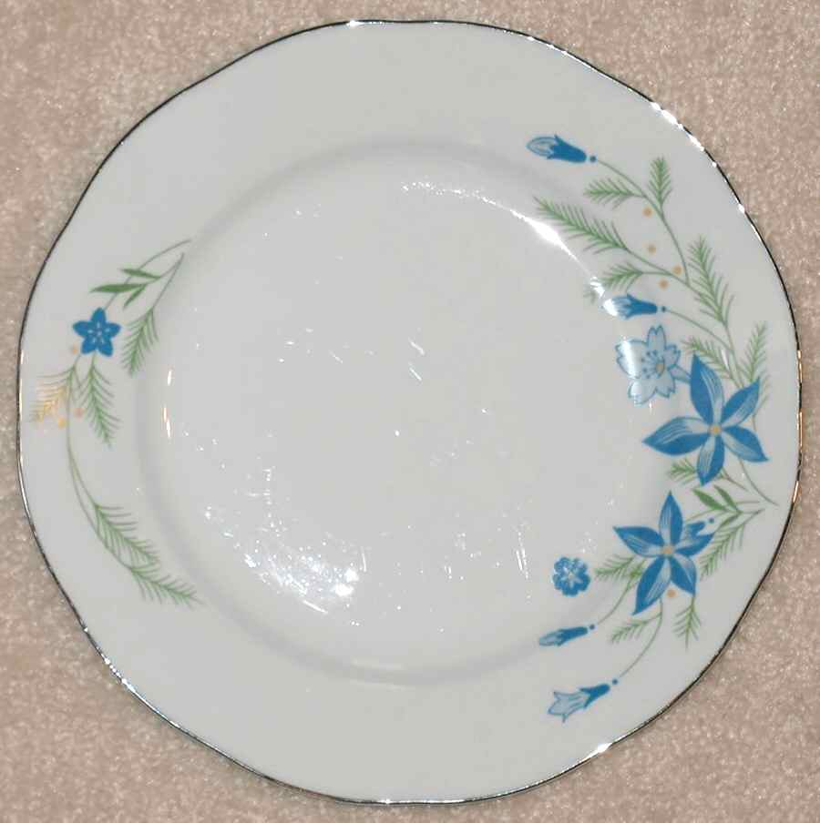 FCC197 Dinner Plate by Fine China of China-1