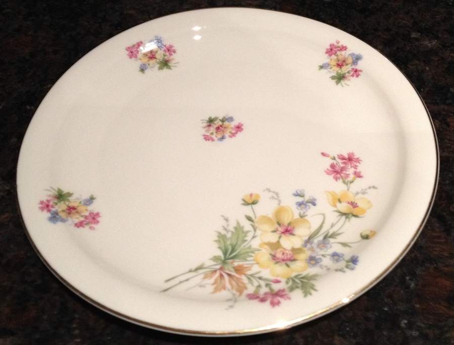 FR326 Dinner Plate by Franconia-Krautheim & Adelburg-1