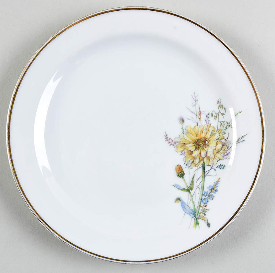 FR336 Salad Plate by Franconia-Krautheim & Adelburg-1