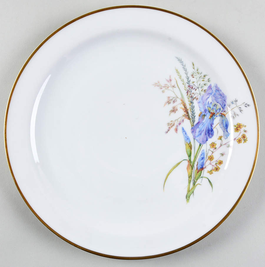FR336 Dinner Plate by Franconia-Krautheim & Adelburg-1