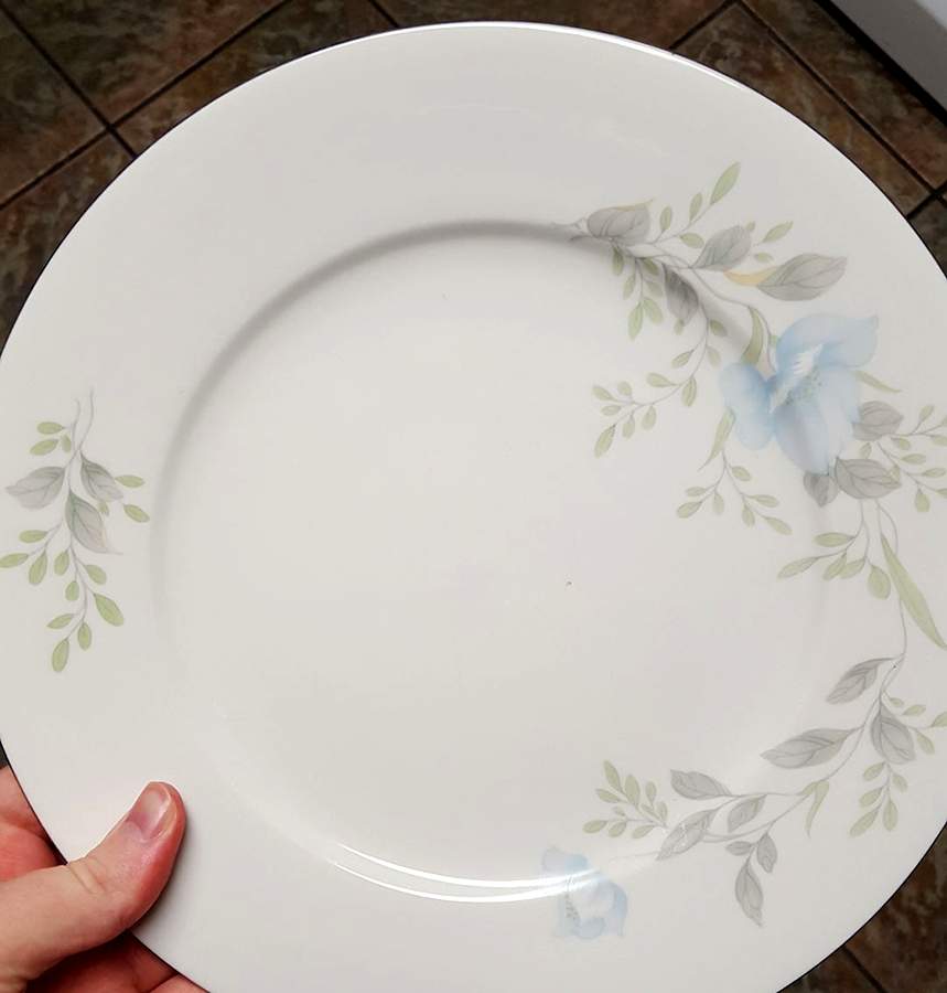 FCC203 Dinner Plate by Fine China of China-1