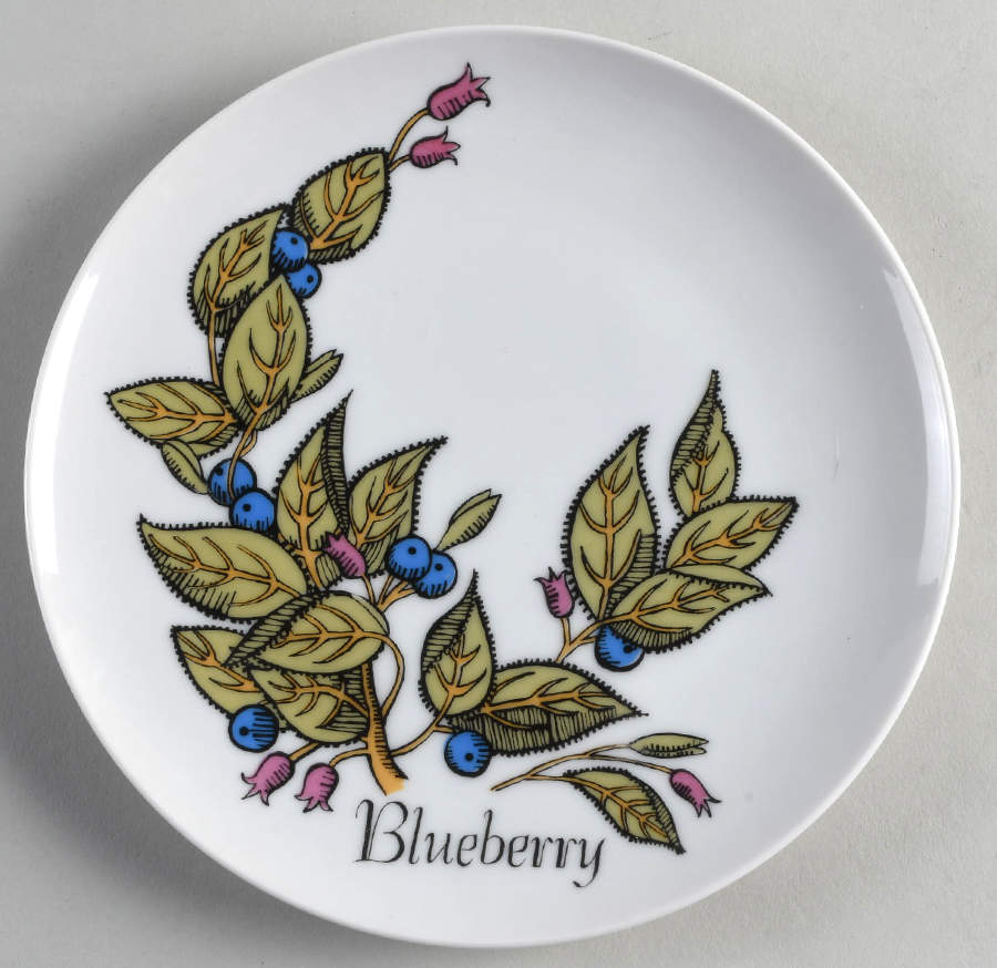 FIT167 Salad Plate by Fitz and Floyd-1