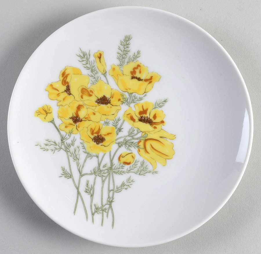 FIT248 Salad Plate by Fitz and Floyd-1