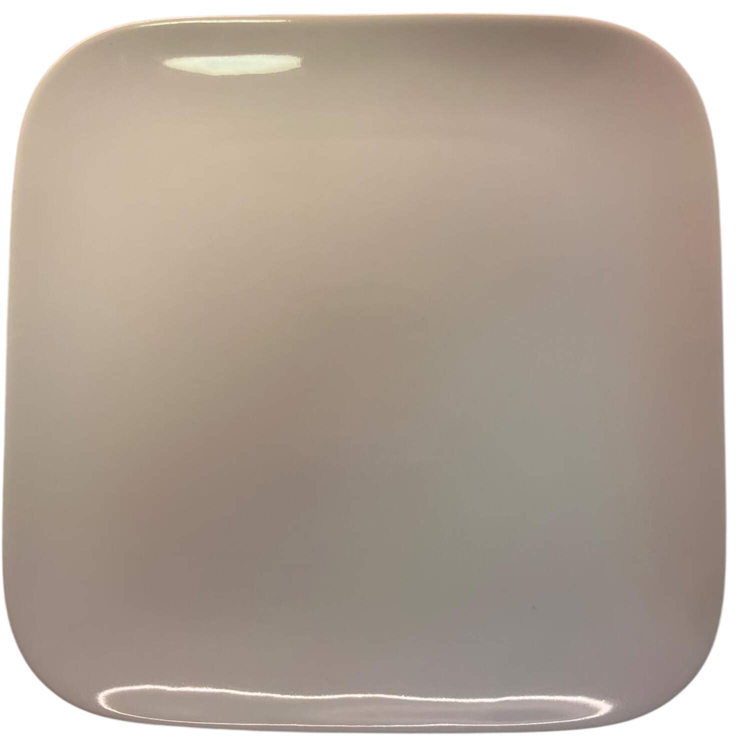 FUK95 Dinner Plate by Fukagawa-1
