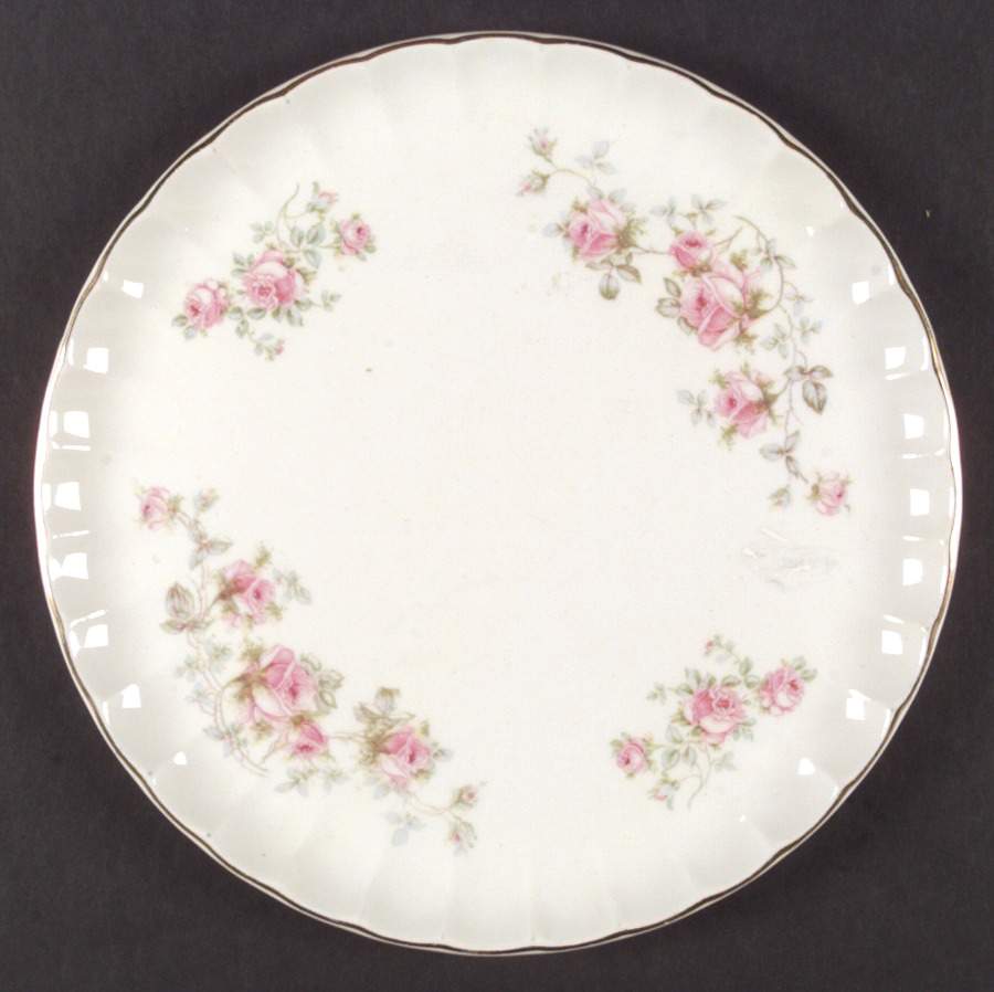 B8949-4 Dinner Plate by WS George-1