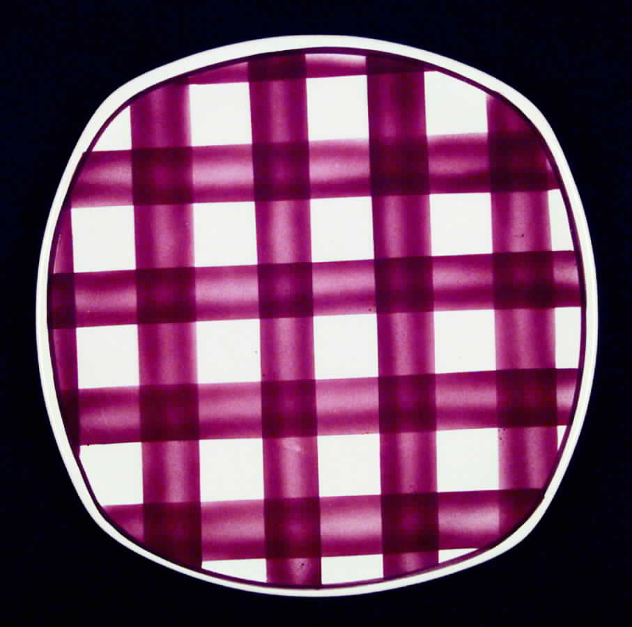 Patio Gingham Maroon Luncheon Plate by T G Green (England)-1