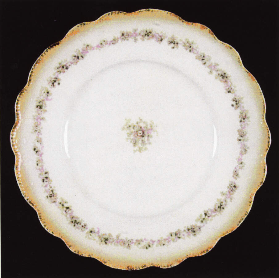 Daisy (Yellow Border) Dinner Plate by Grindley-1