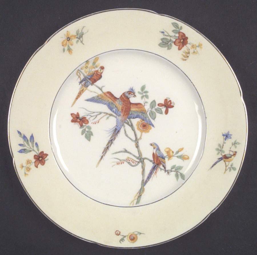 The Gay Macaw Dinner Plate by Grindley-1