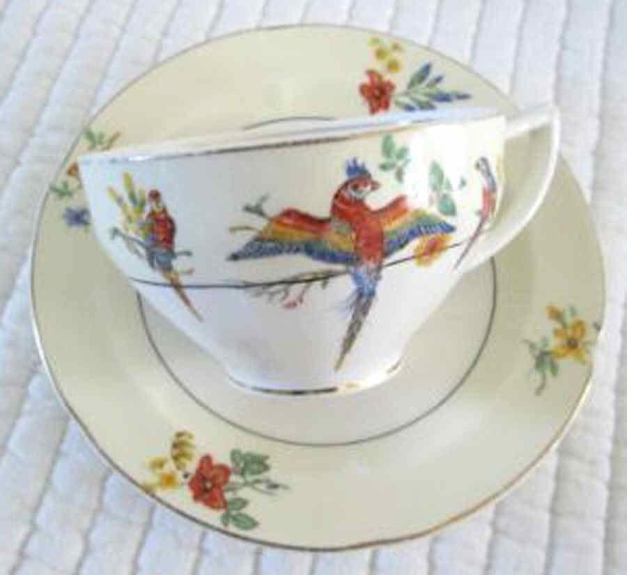 The Gay Macaw Flat Cup & Saucer Set by Grindley-1