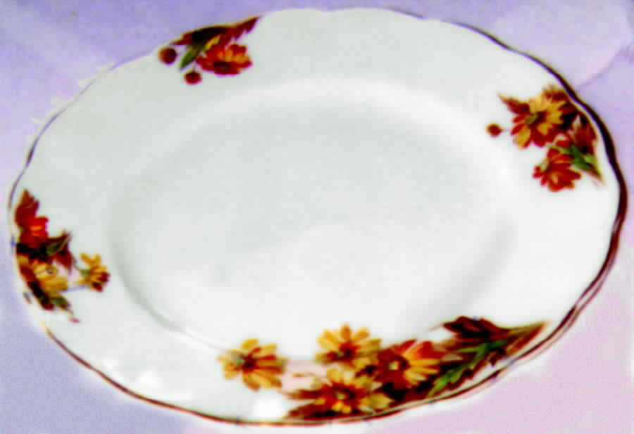 GRI63 Dinner Plate by Grindley-1