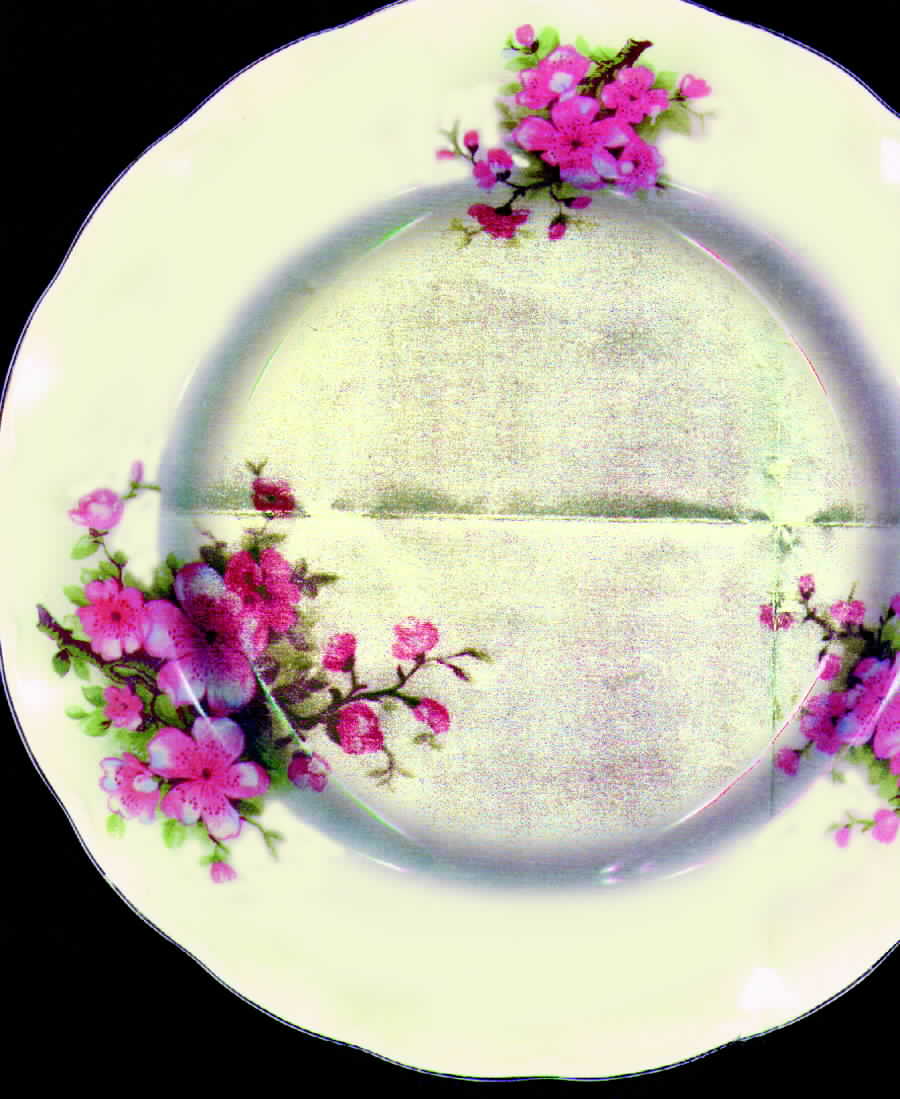 GRI73 Dinner Plate by Grindley-1