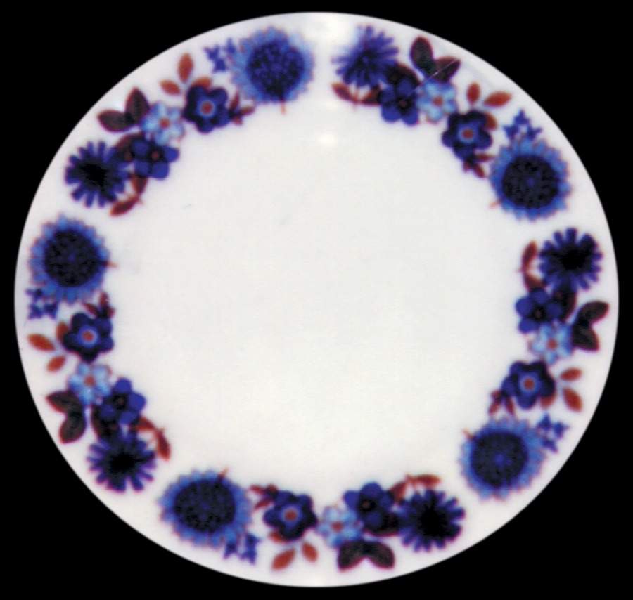Hawaii Dinner Plate by Grindley-1