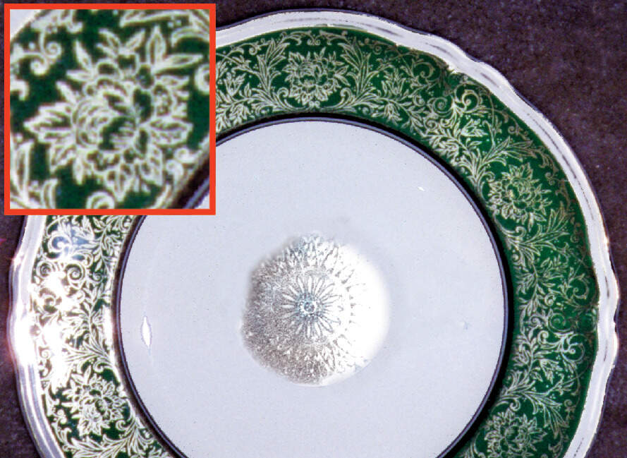 Warwick Green Dinner Plate by Grindley-1
